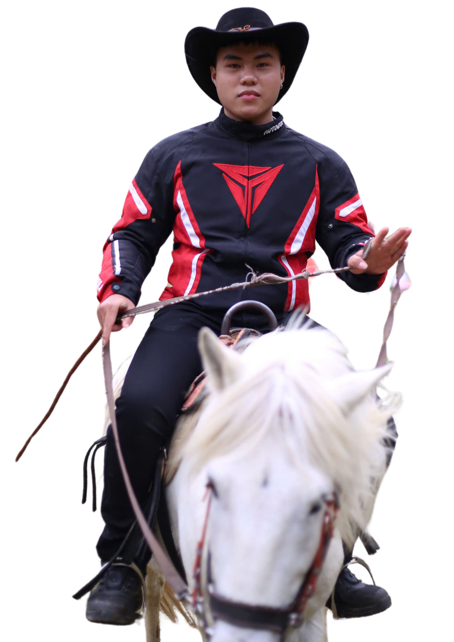 Large Nguyễn Trọng Nghĩa